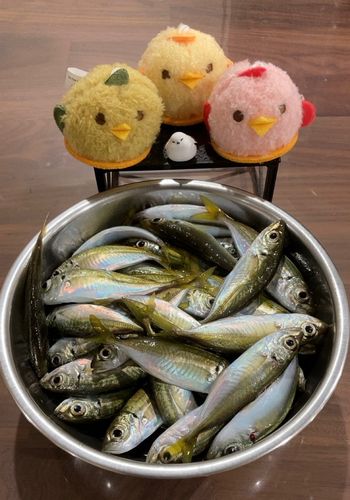 鞠山海遊パーク