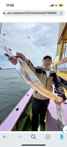 タチウオの釣果