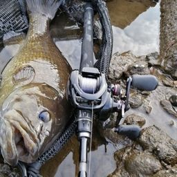 スモールマウスバス