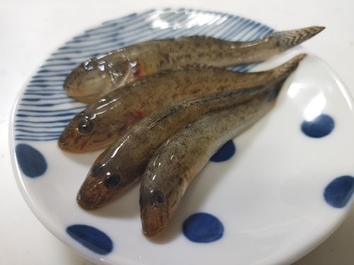 伊勢湾湾奥