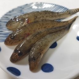 ハゼ