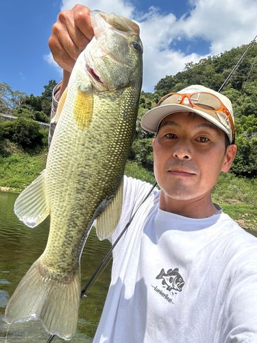 ラージマウスバスの釣果