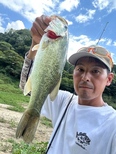ラージマウスバスの釣果