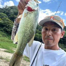 ラージマウスバス