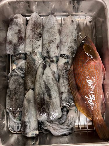 若狭湾