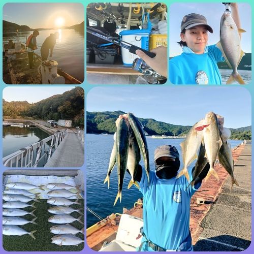 ツバスの釣果