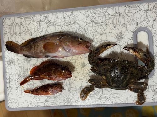 波津漁港