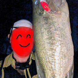 ブラックバス