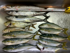 釣果