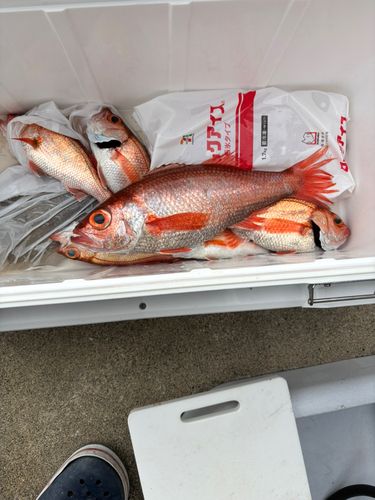 有磯海