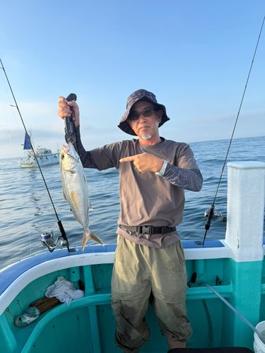 カンパチの釣果