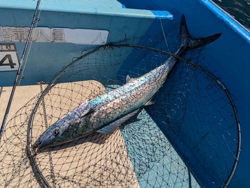 小浜湾