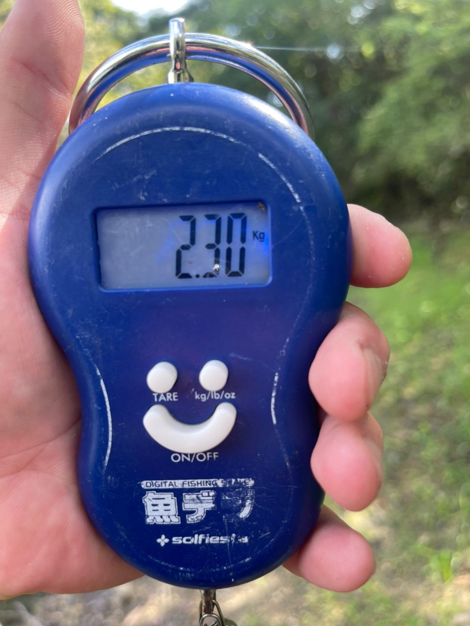 ブラックバス