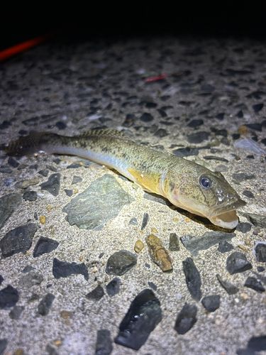 苅田港赤灯台