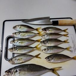 アジ