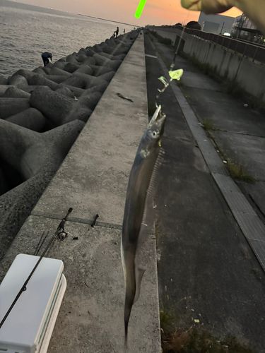 貝塚人工島