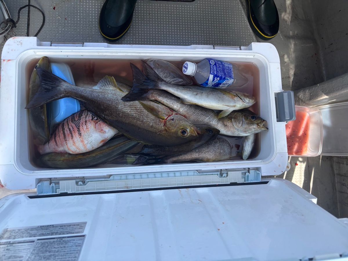 田畑良朗@なつき丸さんの釣果 3枚目の画像