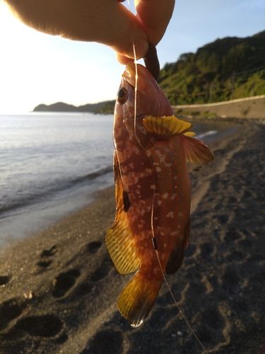 若狭湾