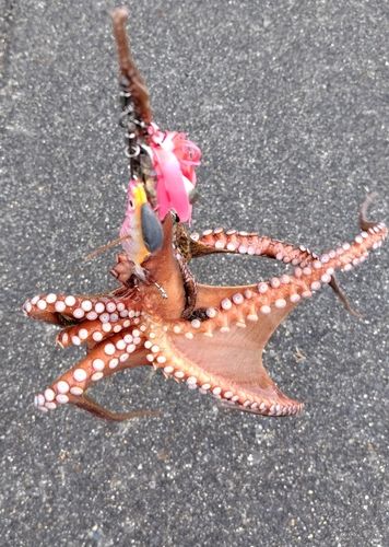 江田島