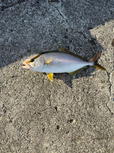 湯河原海浜公園