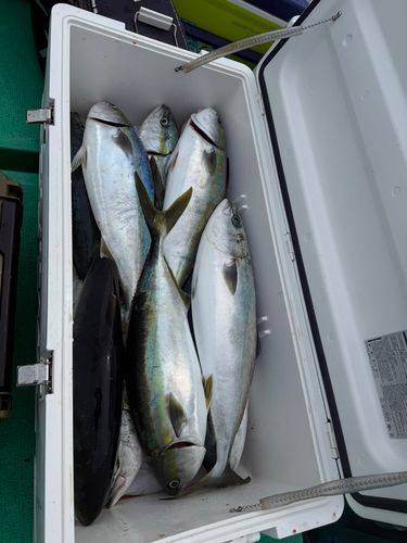 那珂湊沖
