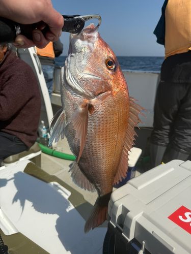 鹿島灘