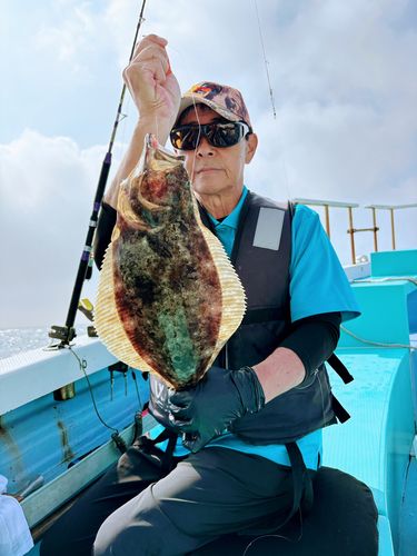 ヒラメの釣果