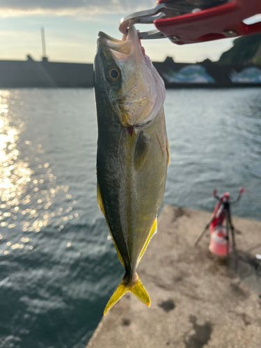 梅浦漁港