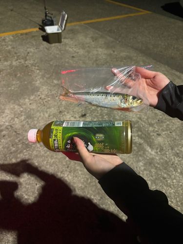 米子漁港