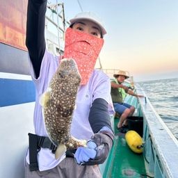 ショウサイフグ