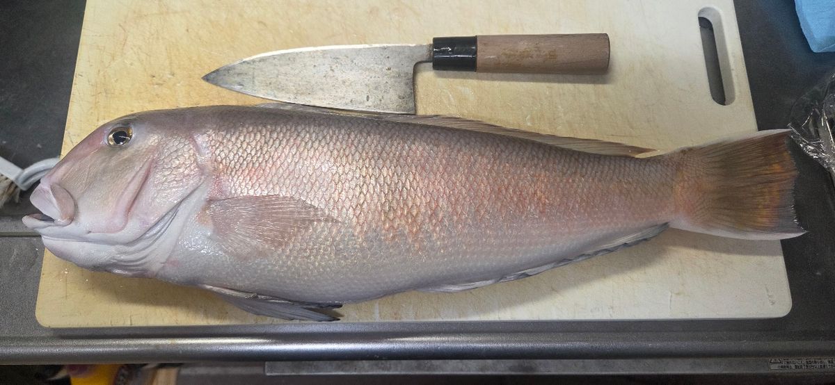 月曜ジギンガーさんの釣果 2枚目の画像