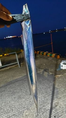 宮崎港