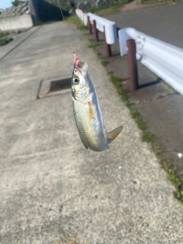 石狩湾新港