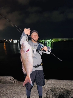 タイの釣果