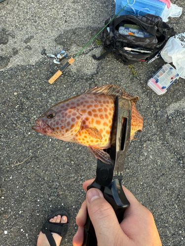 江尻埠頭