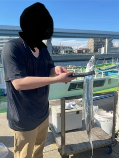 タチウオの釣果