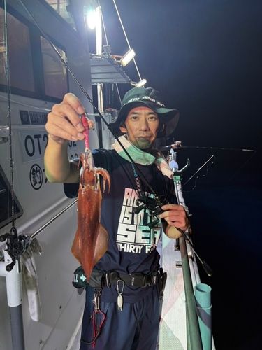 ケンサキイカの釣果