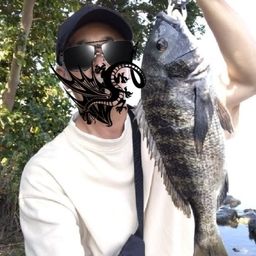 クロダイ