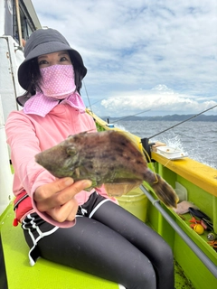 カワハギの釣果