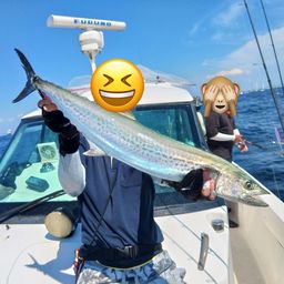 サワラ