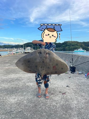 呼子港