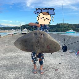 ツバクロエイ