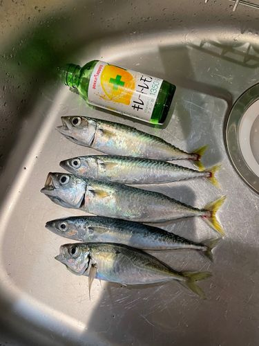 表浜名湖