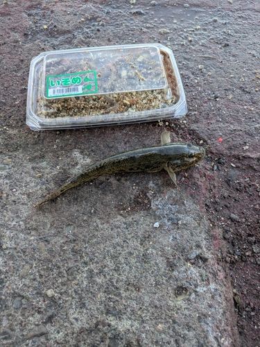 石狩湾新港