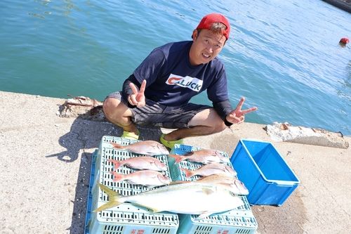 マダイの釣果