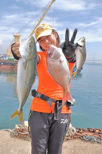 タチウオの釣果