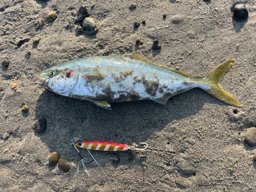 釣果