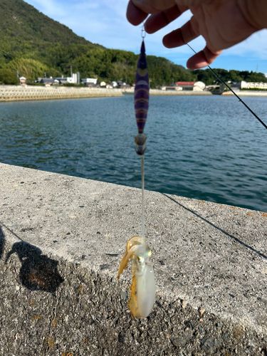 しまなみ海道