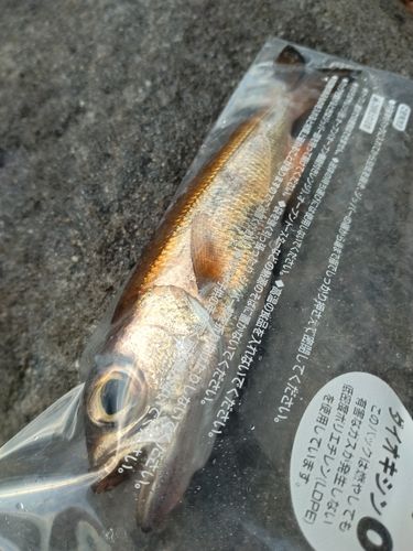 御浜岬