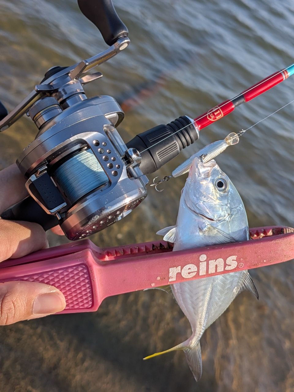 TULALA 22トリュテ Clerus411ULの最安値・インプレ・釣果 | 本音の